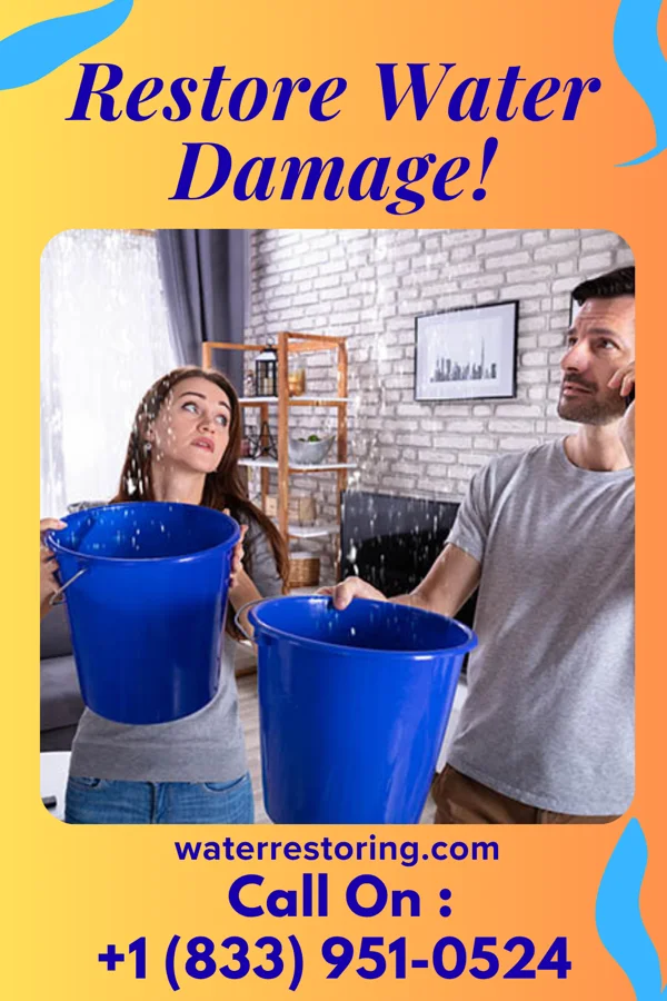 water restoration Total Disaster Recovery Professionals Ferndale