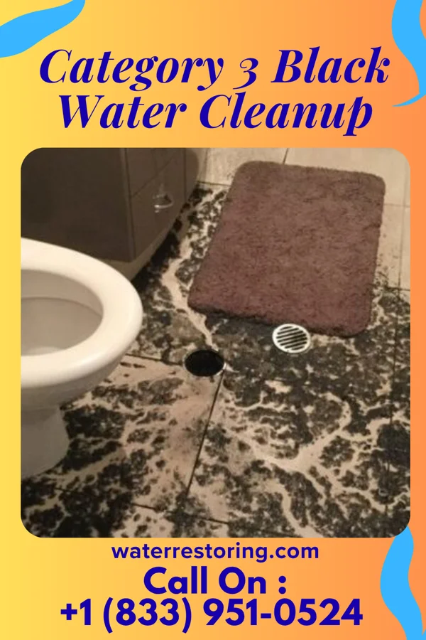 Category 3 Black Water Cleanup in Ferndale, MI