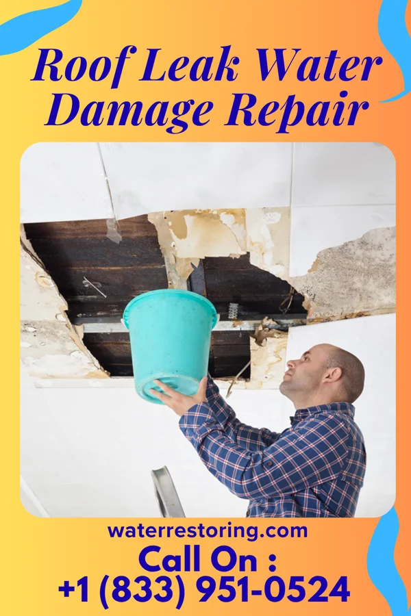 Roof Leak Water Damage Repair in Ferndale, MI